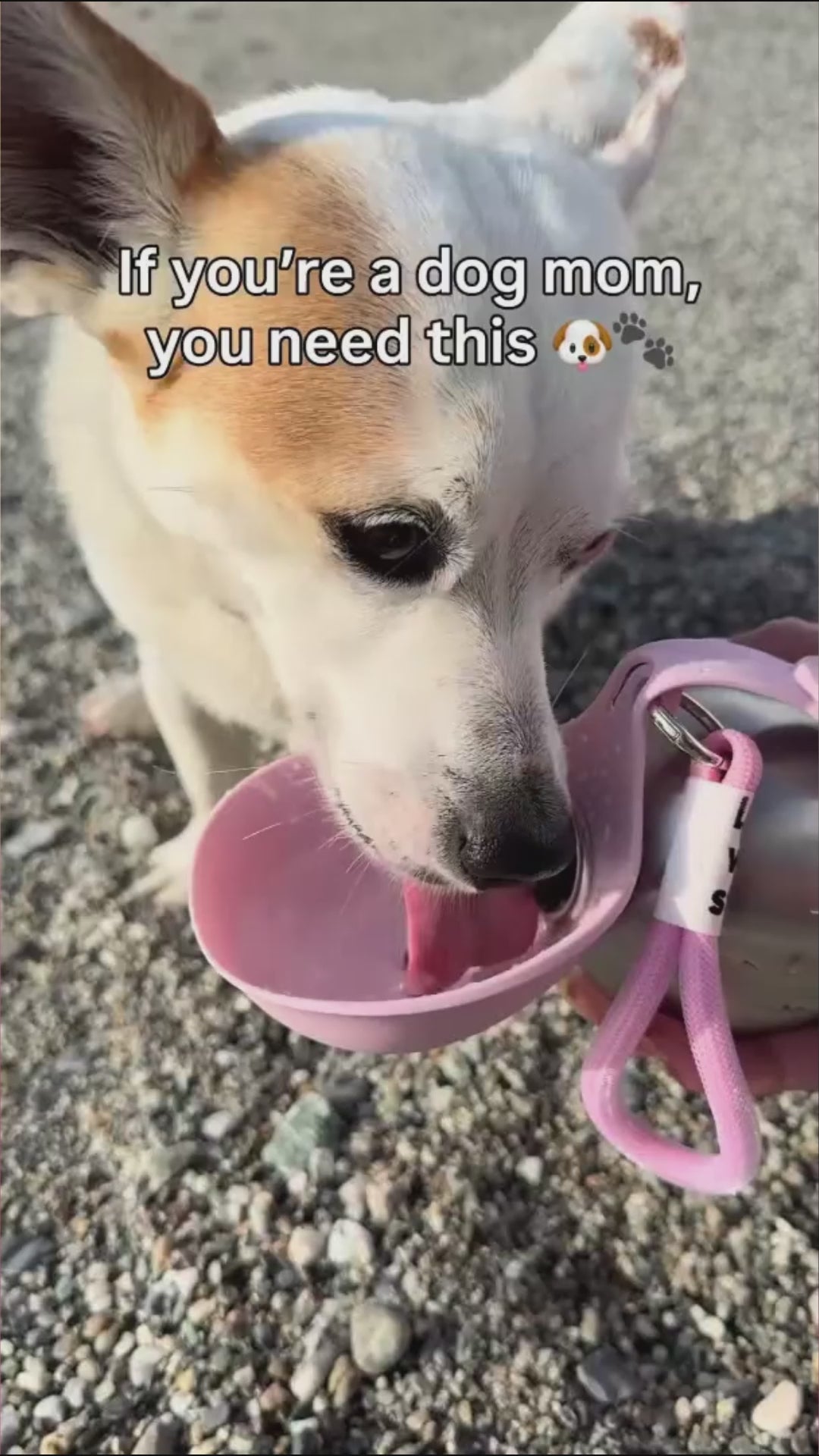 Botella de agua portátil para perros