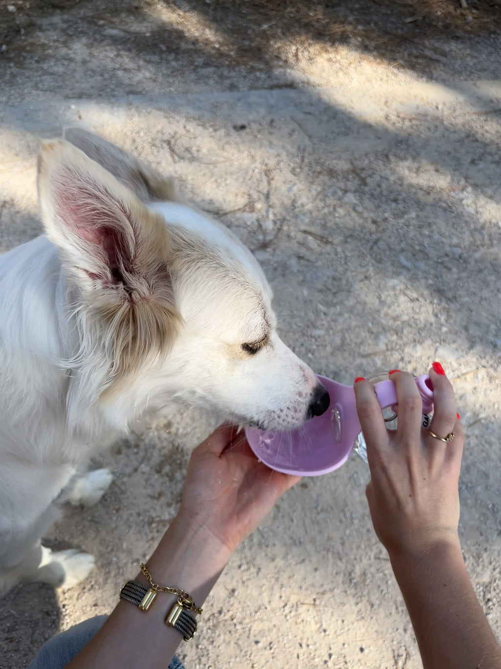 Botella de agua portátil para perros